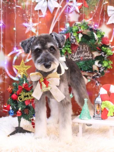 20231210オーシャンくん